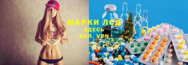 стаф Алзамай