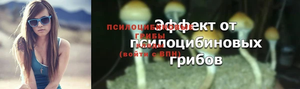стаф Алзамай