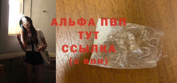 стаф Алзамай