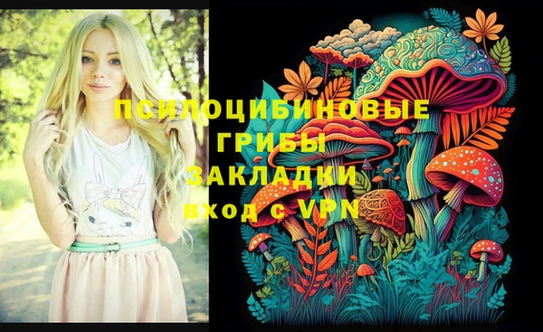 стаф Алзамай