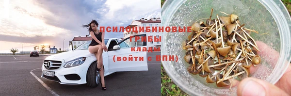 стаф Алзамай