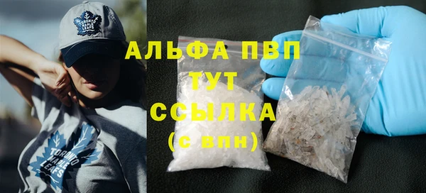стаф Алзамай
